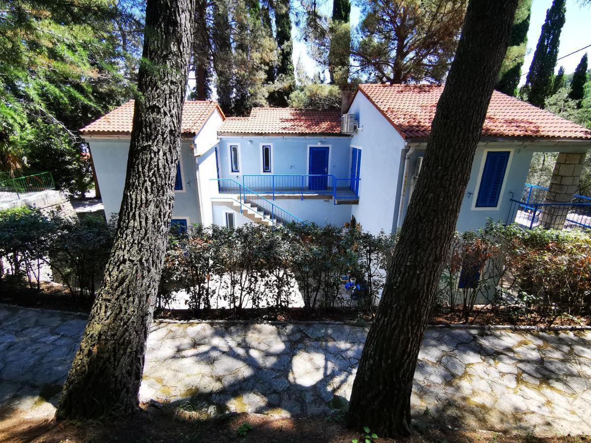 Morski Gaj Penzion Piran