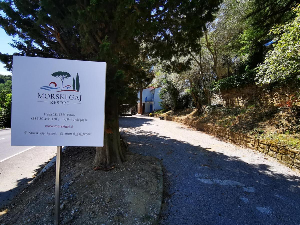 Morski Gaj Penzion Piran