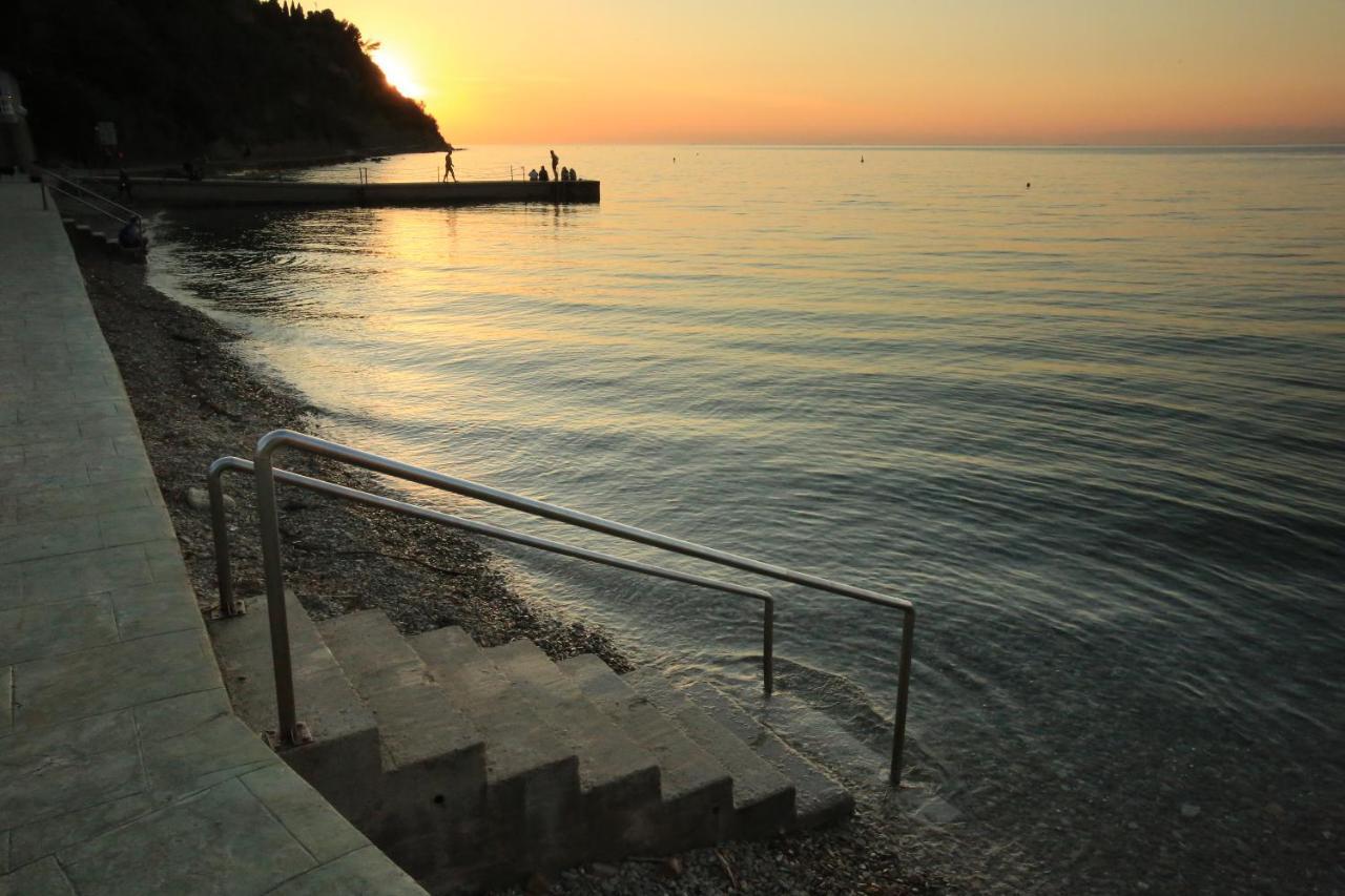 Morski Gaj Penzion Piran