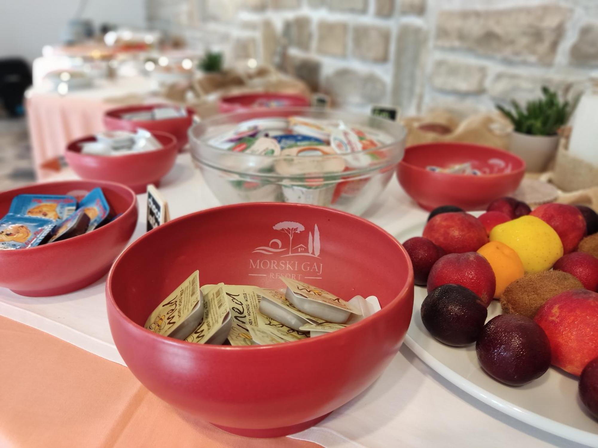 Morski Gaj Penzion Piran